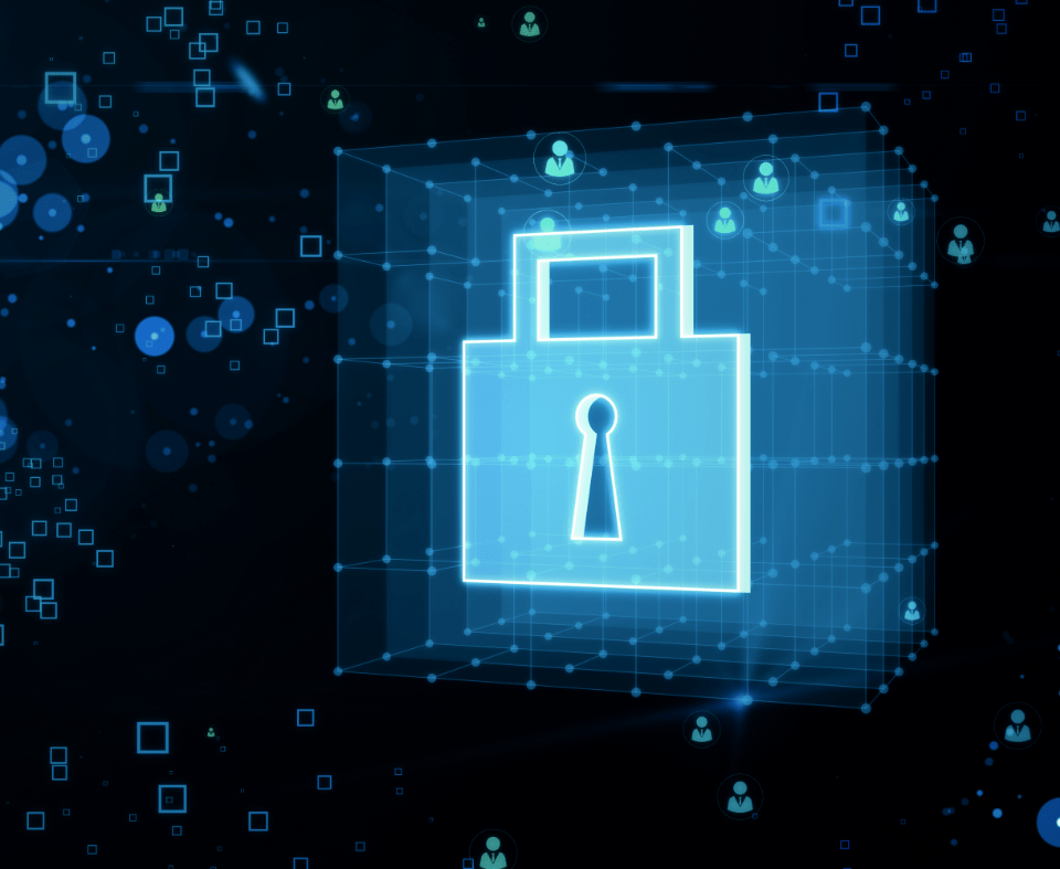 Cybersecurity Risk